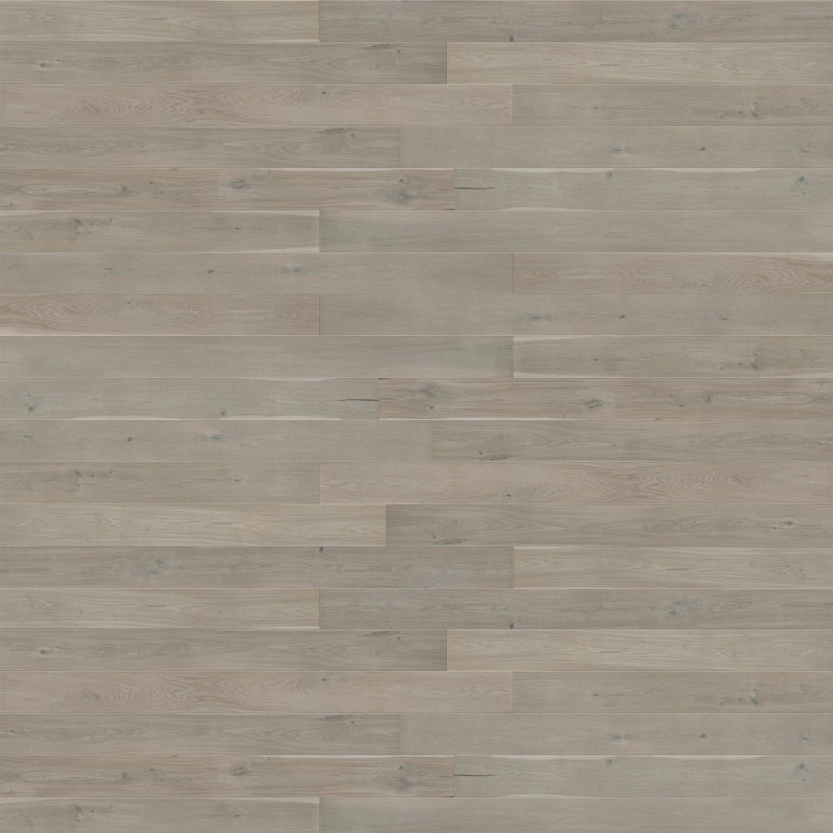 AR8480 Ashton &amp; Rose Sandford (Marzipan Muffin Grande)