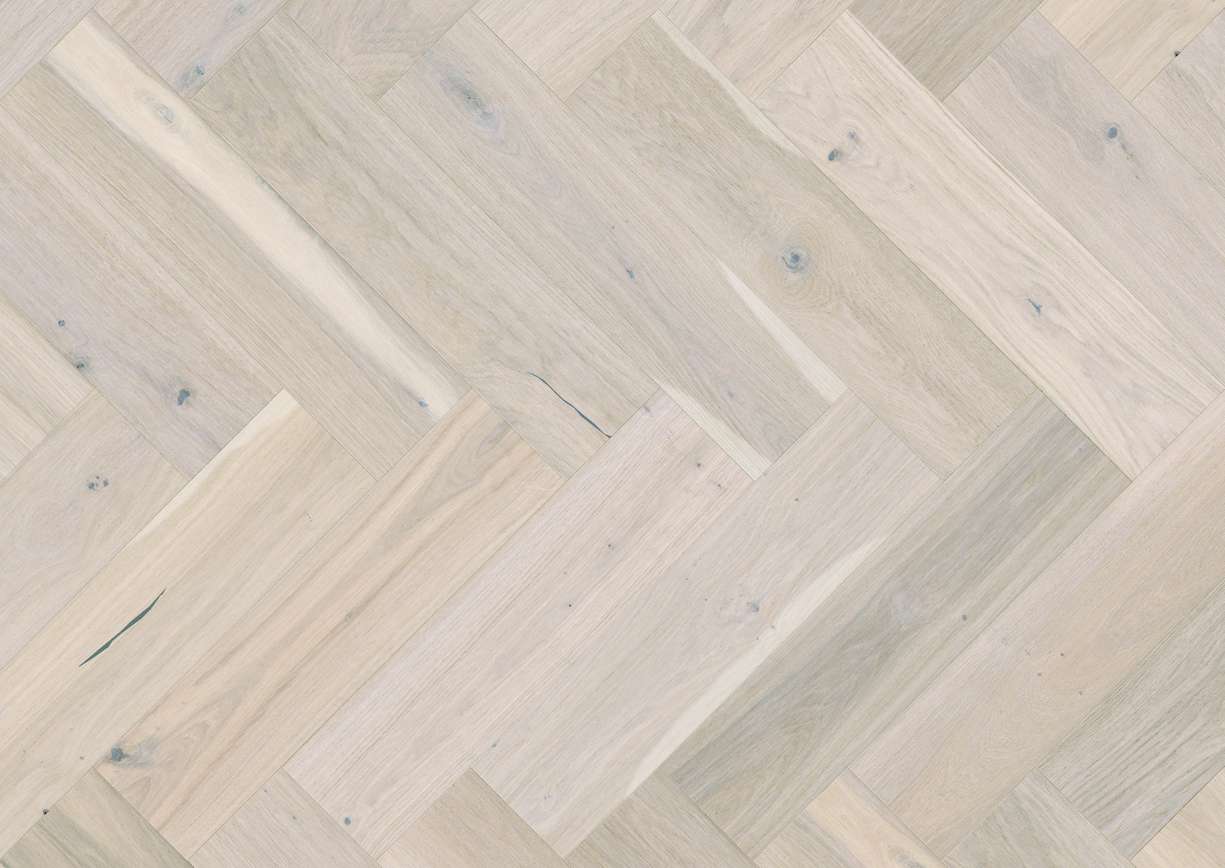AR8495F Ashton & Rose Dalton Grande Herringbone - Free Sample