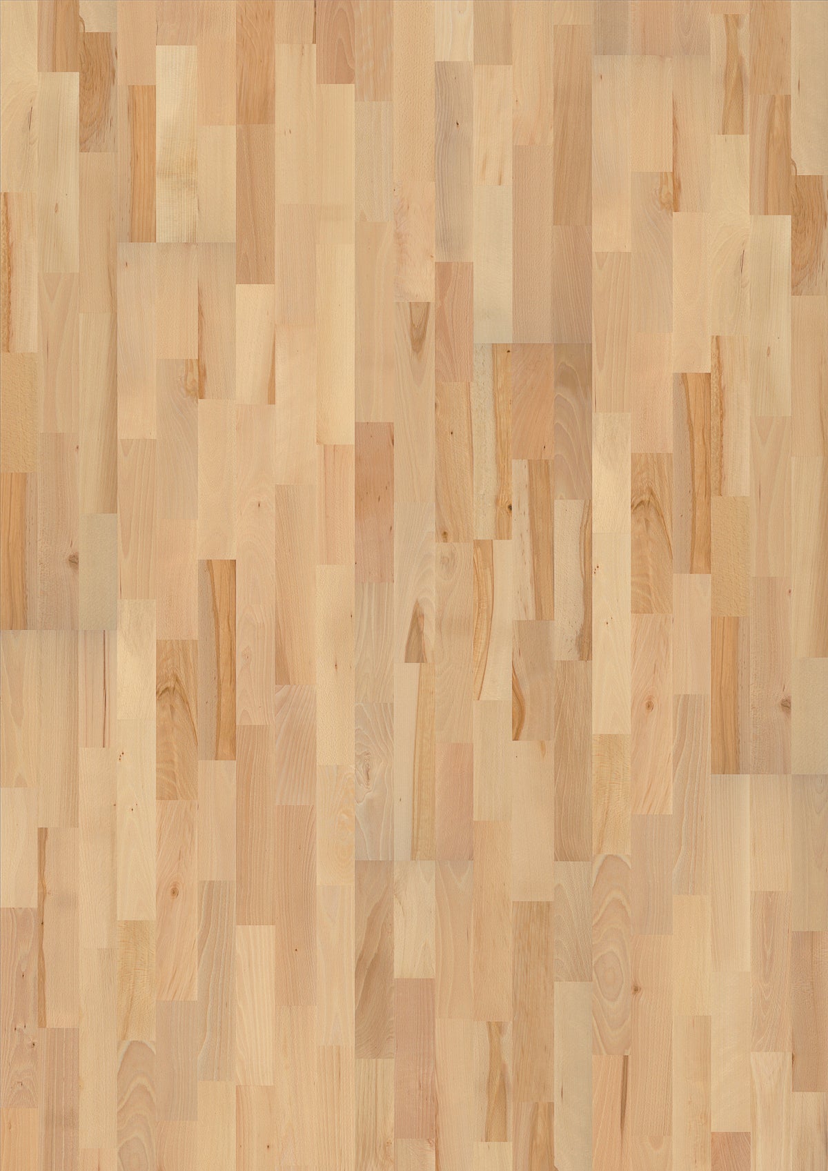Kahrs Beech Viborg Free Sample (5827531505821)