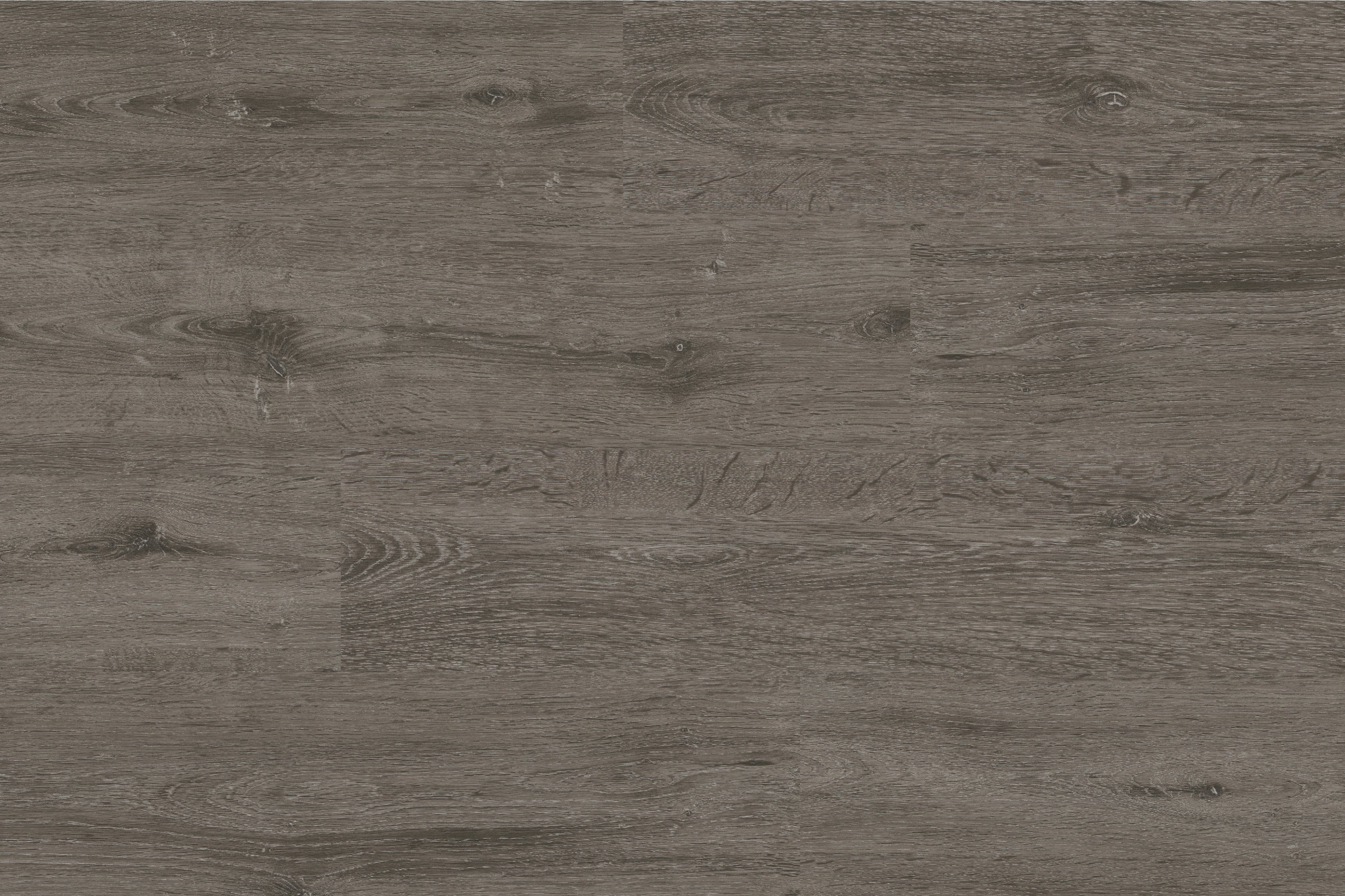 Blanched Carbon Glue Down PLF4264GD.3 CLEARANCE Free Sample (6011622588573)
