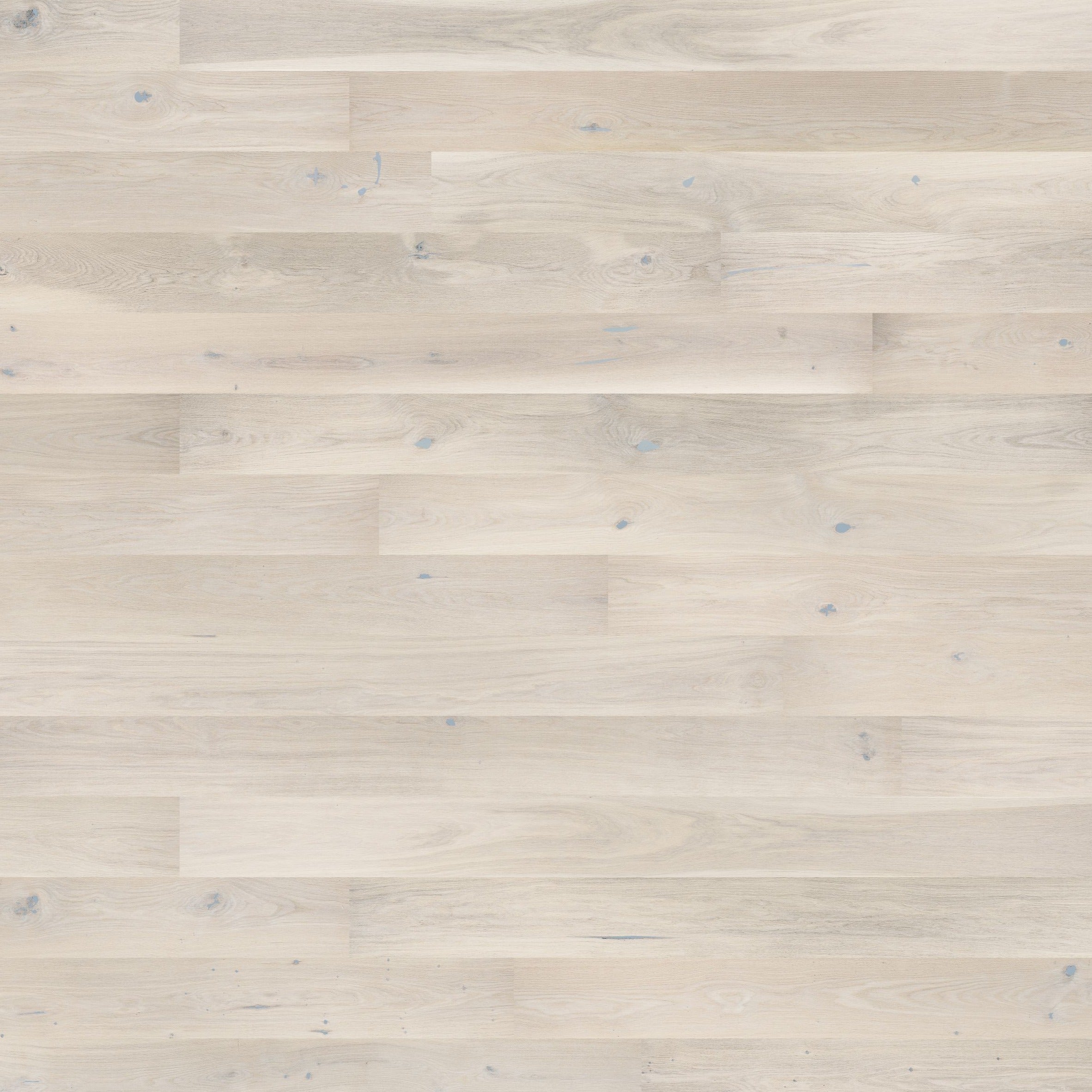 AR8438 Ashton & Rose Lonsdale Free Sample (5467753808029)