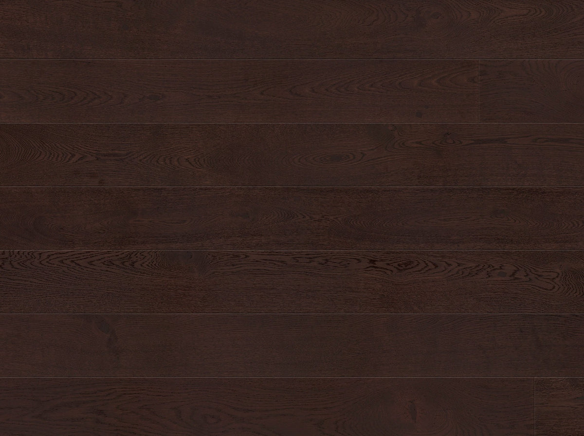 AR8474 Ashton &amp; Rose Forden Free Sample (6009614958749)