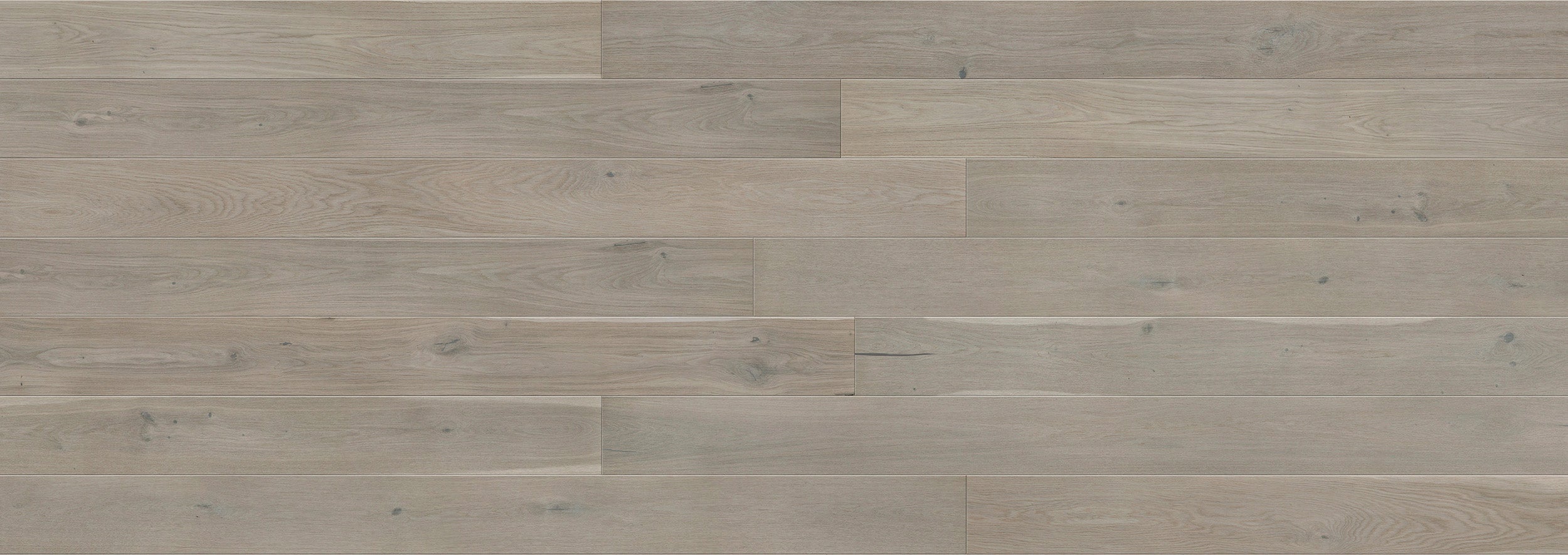 AR8480 Ashton & Rose Sandford Free Sample (6607441395869)