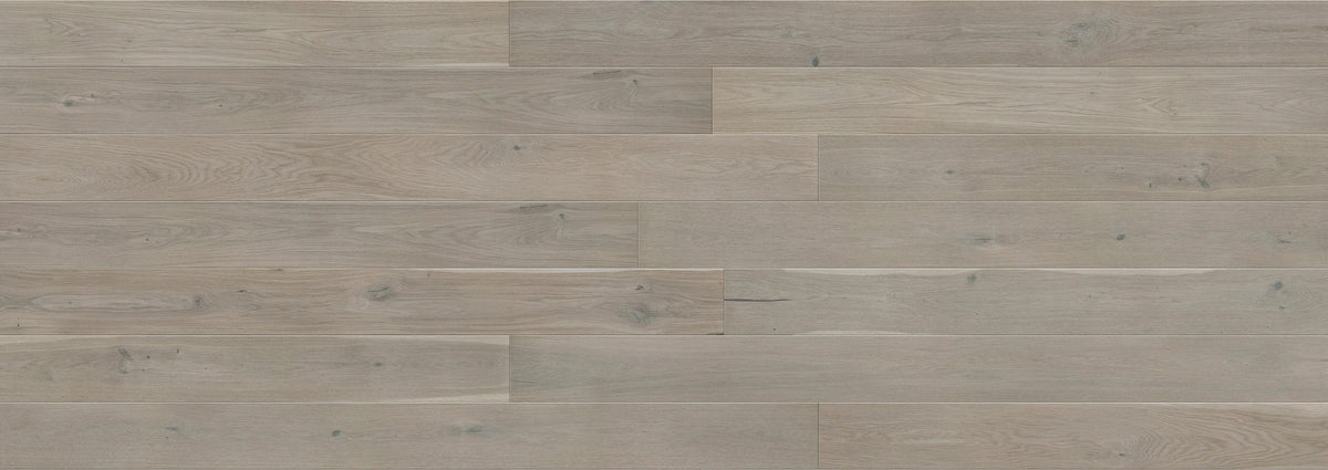 AR8480 Ashton &amp; Rose Sandford Free Sample (6607441395869)
