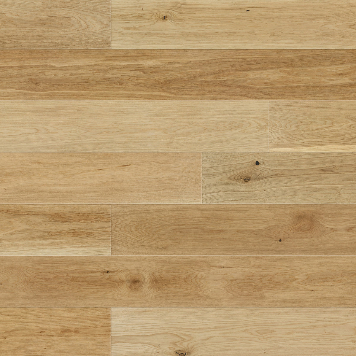 AR8446 Ashton &amp; Rose Eagland Free Sample (5735051952285)