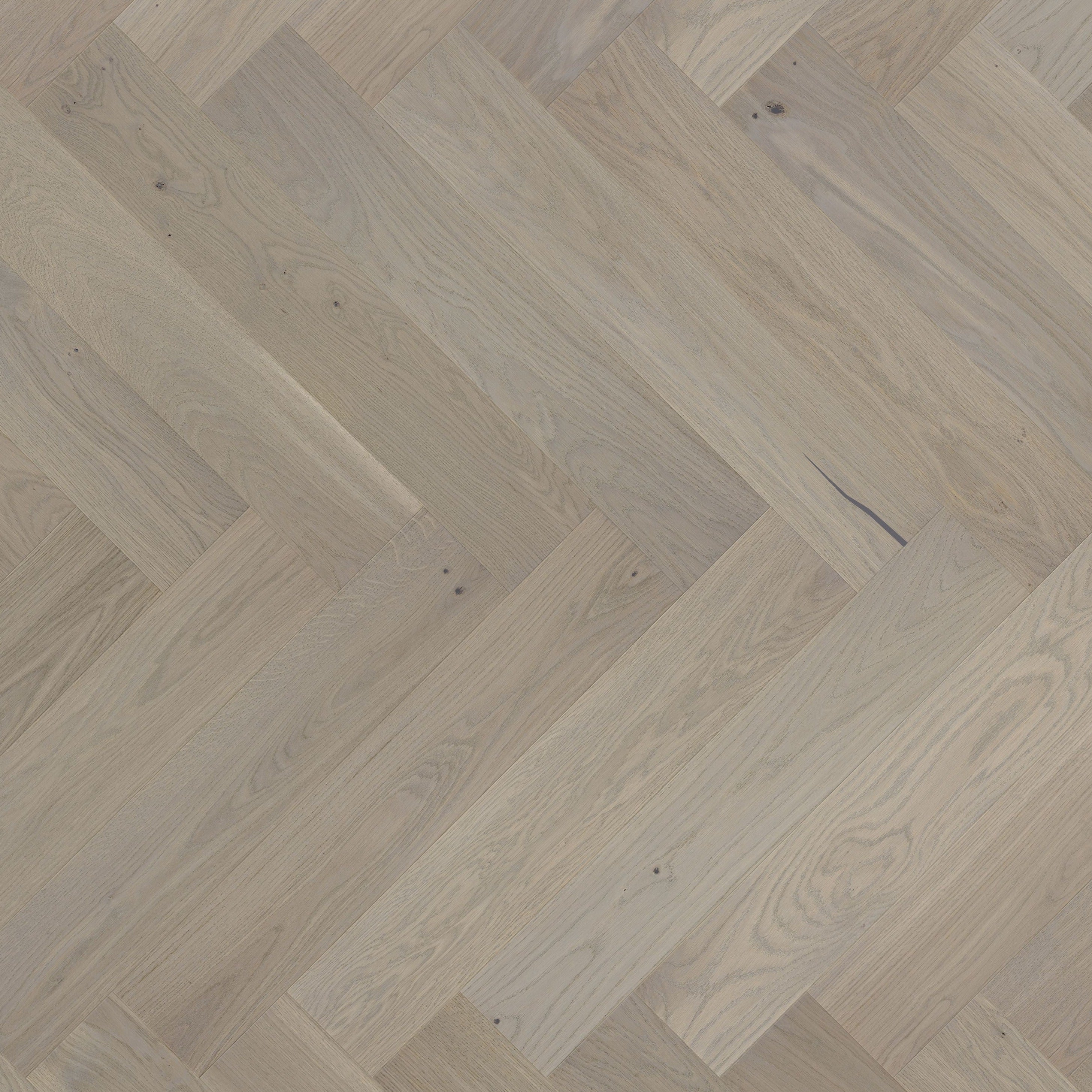 AR8448 Ashton & Rose Gillow Herringbone Free Sample (5735267664029)