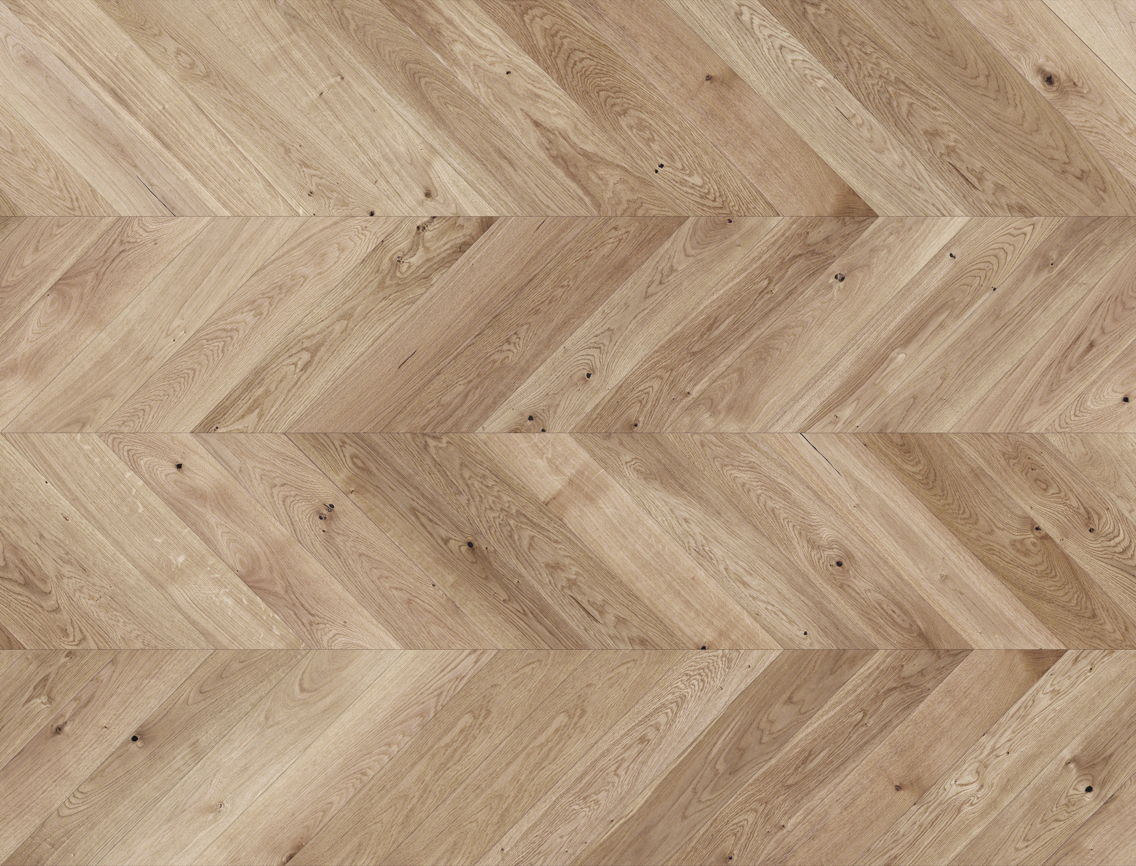 AR8487 Ashton & Rose Fornby Chevron Free Sample