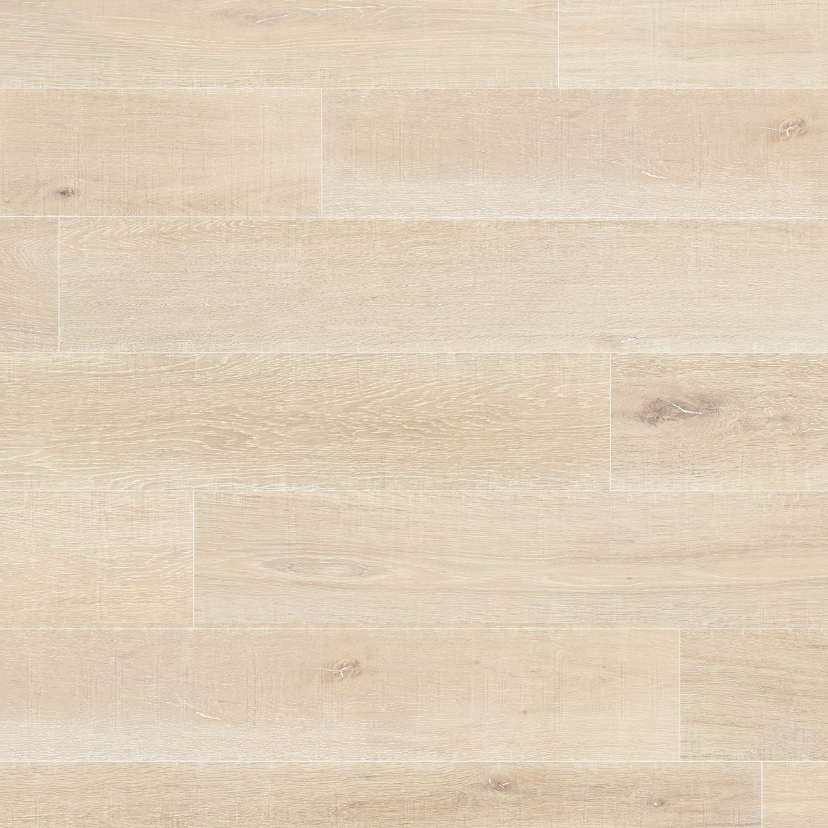 Ferentillo (5351838089373)