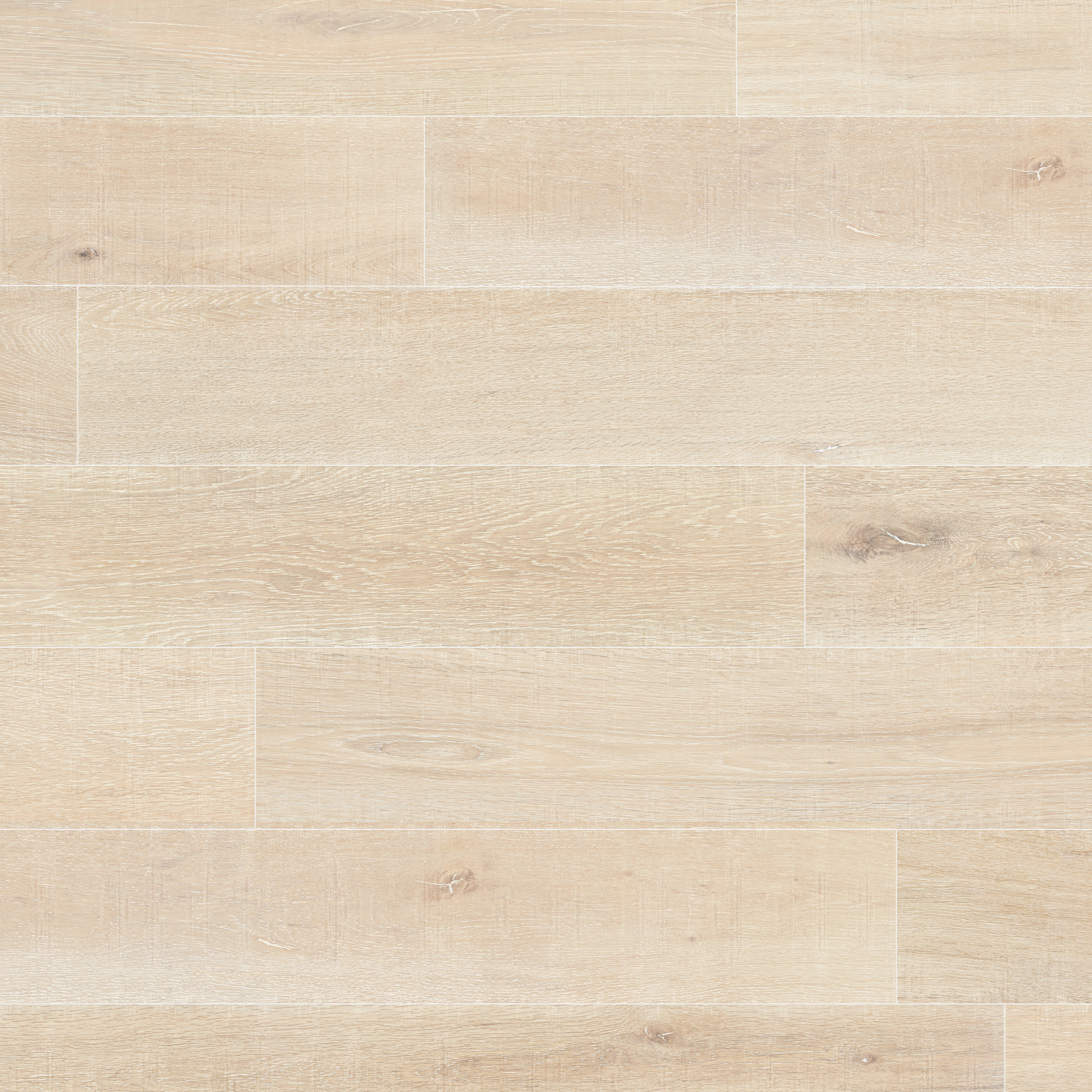 Ferentillo Free Sample (5601451114653)