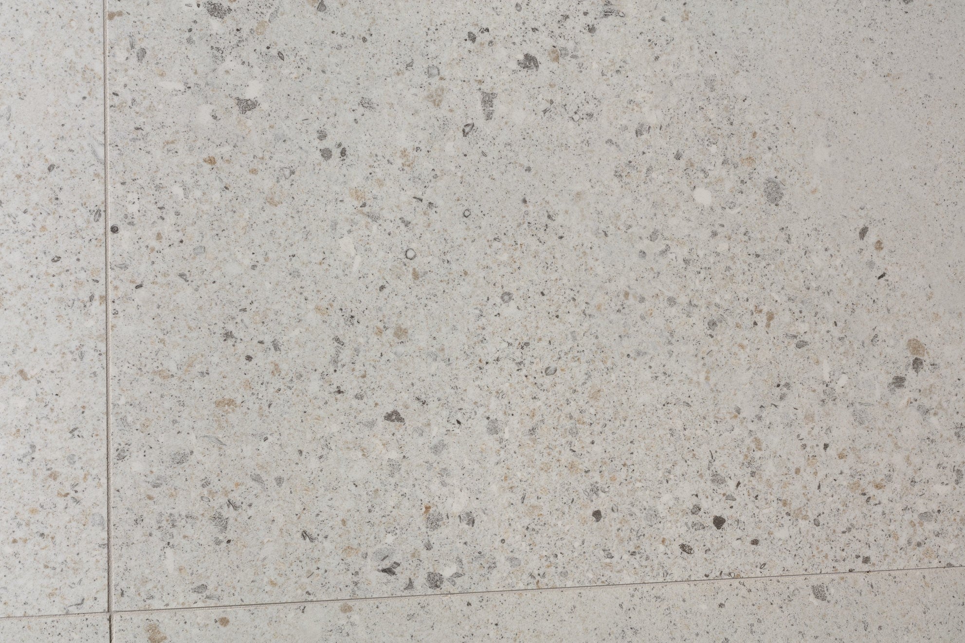 Lago True Polished Free Sample (5851408793757)